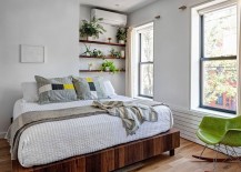 Bedroom-shelves-decorated-with-potted-plants-and-herbs-217x155
