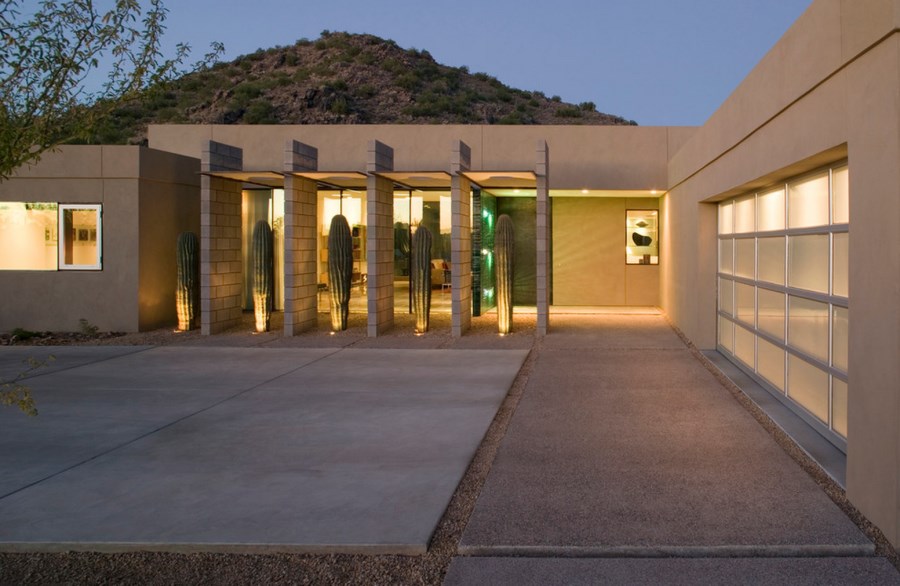 Cacti make a sculptural privacy screen