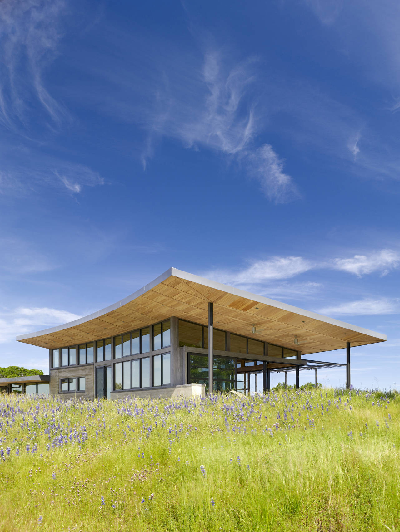 Custom roof of Caterpillar House keeps away the hot Californian sun