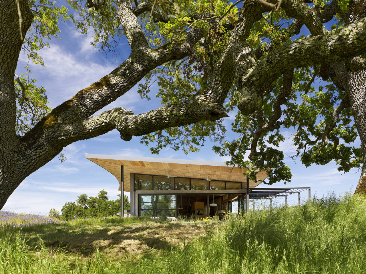 Ranch style design of Caterpillar House