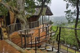 Tree Bench Ideas for Added Outdoor Seating