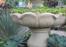 Create-your-own-fountain-of-plants-217x155