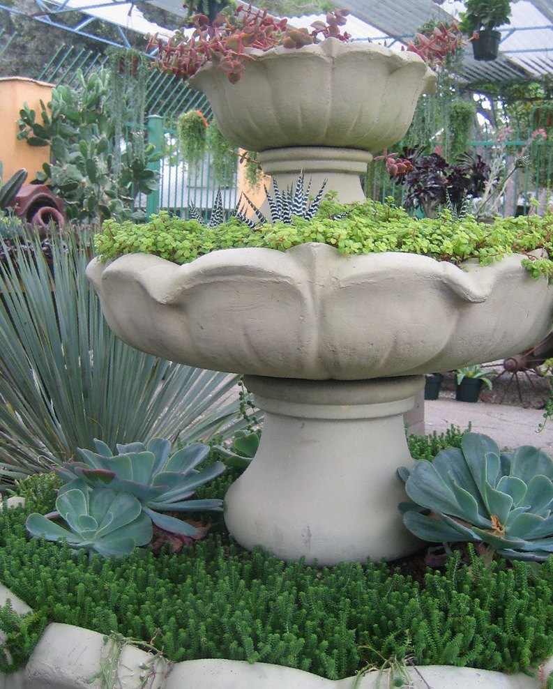 Create your own fountain of plants