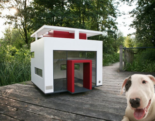 13 Inspiring Ideas to Build Your Own Dog House