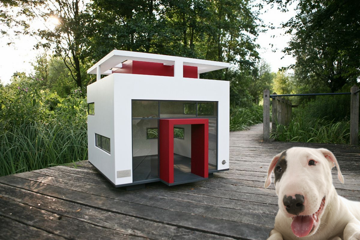 Creative dog 2024 house ideas