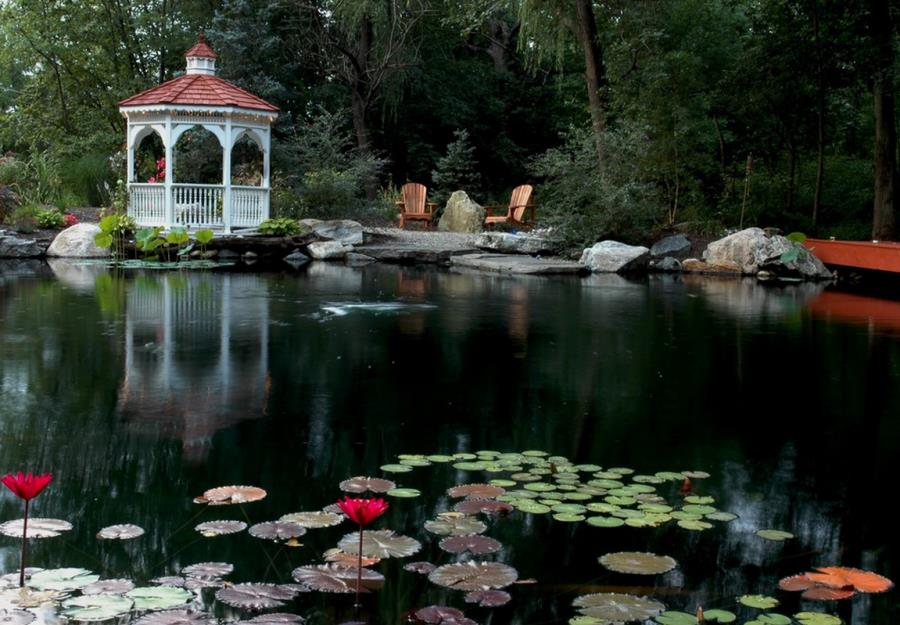 Gazebo by a lily pond