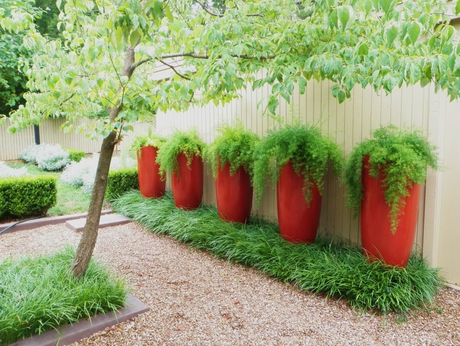 Gravel, ornamental grass and large planters in a modern yard