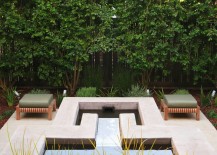 Italian-buckthorn-adds-greenery-to-a-modern-patio-217x155