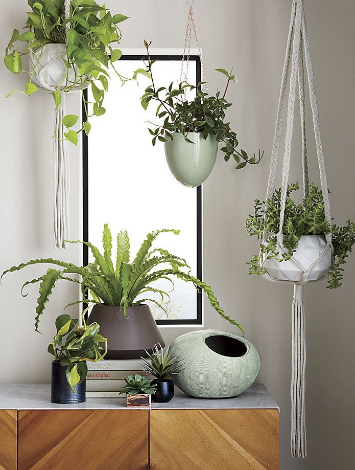 Modern planters from CB2