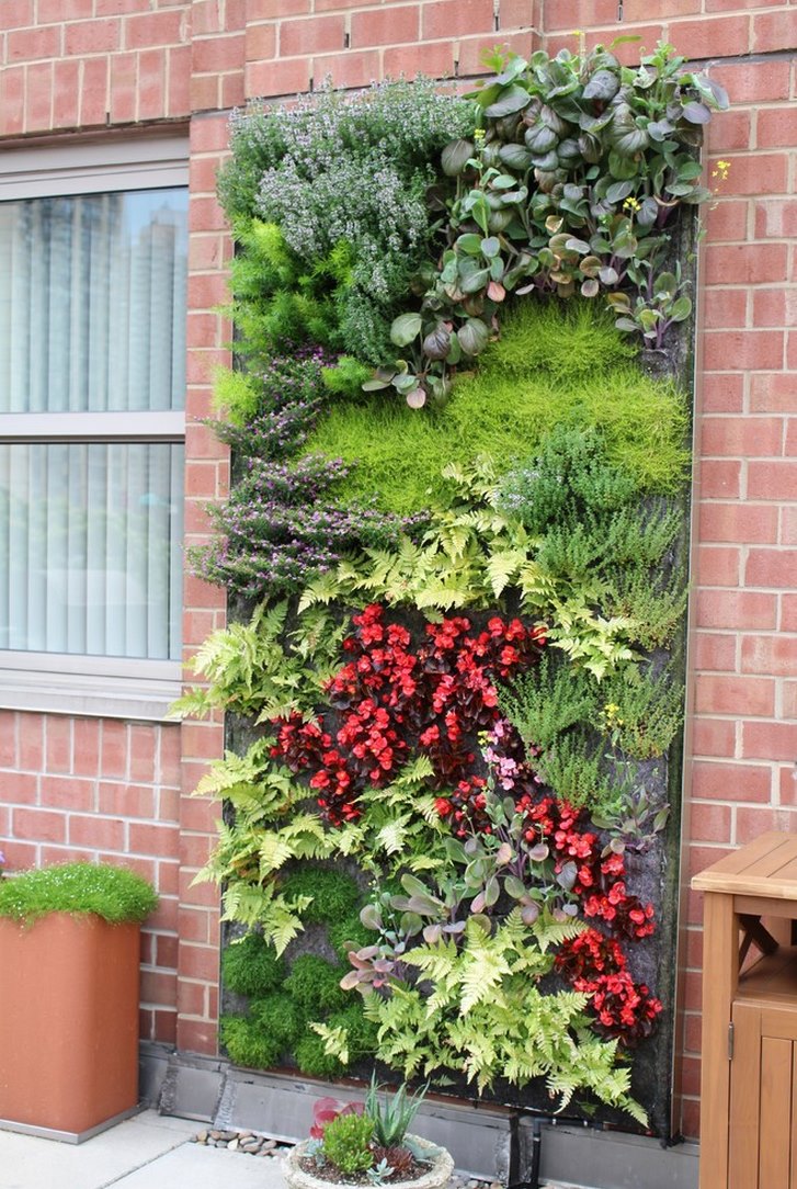 Outdoor living wall featuring a range of plants