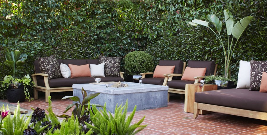 10 Privacy Plants for Screening Your Yard in Style