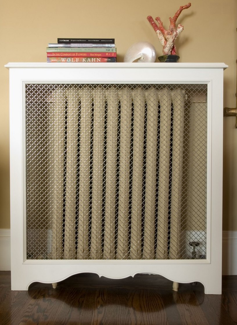 See-through radiator cover
