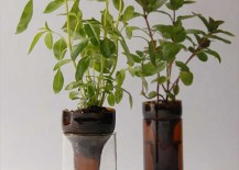 Self-Watering-Planter-DIY-217x155