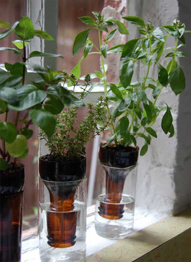 Self Watering Planters