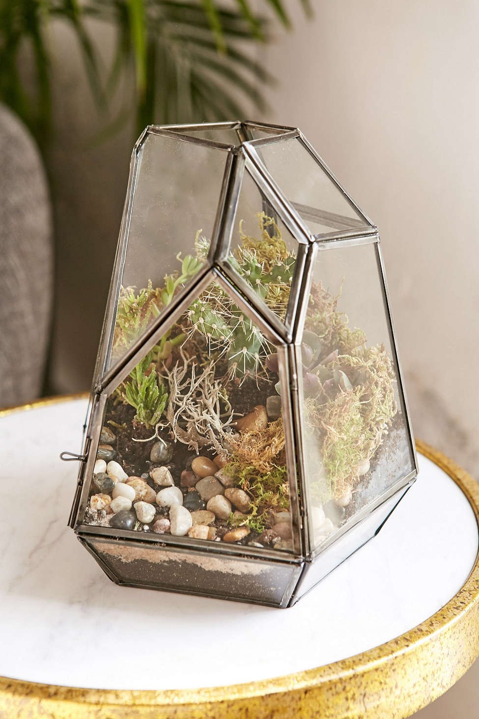 Smoked glass terrarium from Urban Outfitters