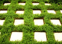 Square-pavers-and-thyme-create-a-modern-green-look-217x155