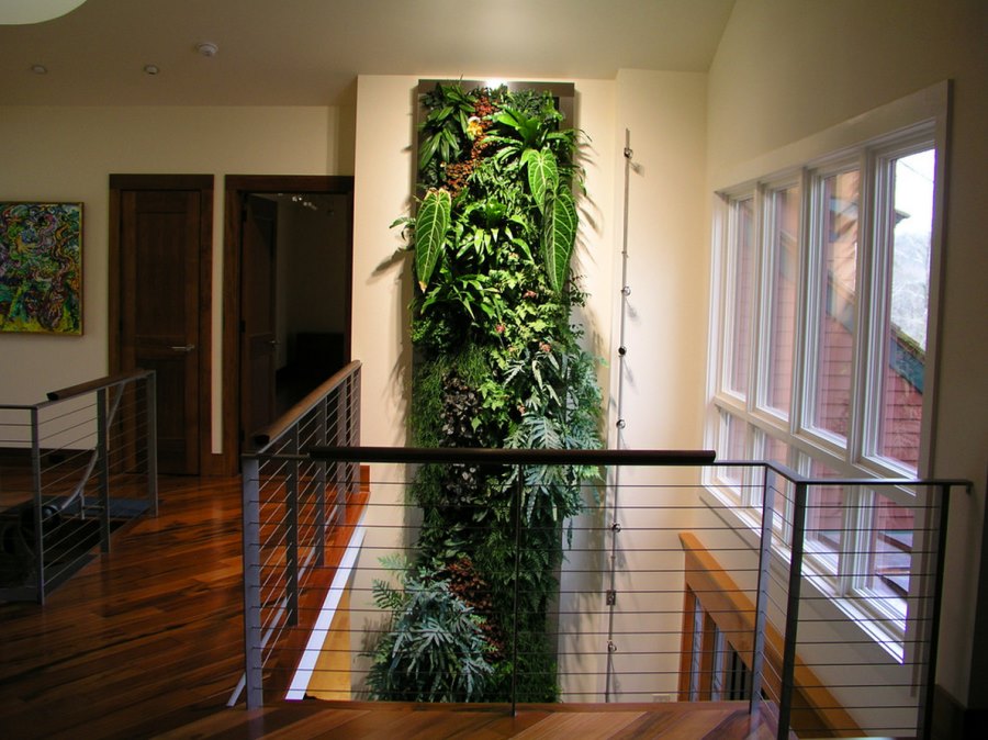 Tall living wall in an airy hallway