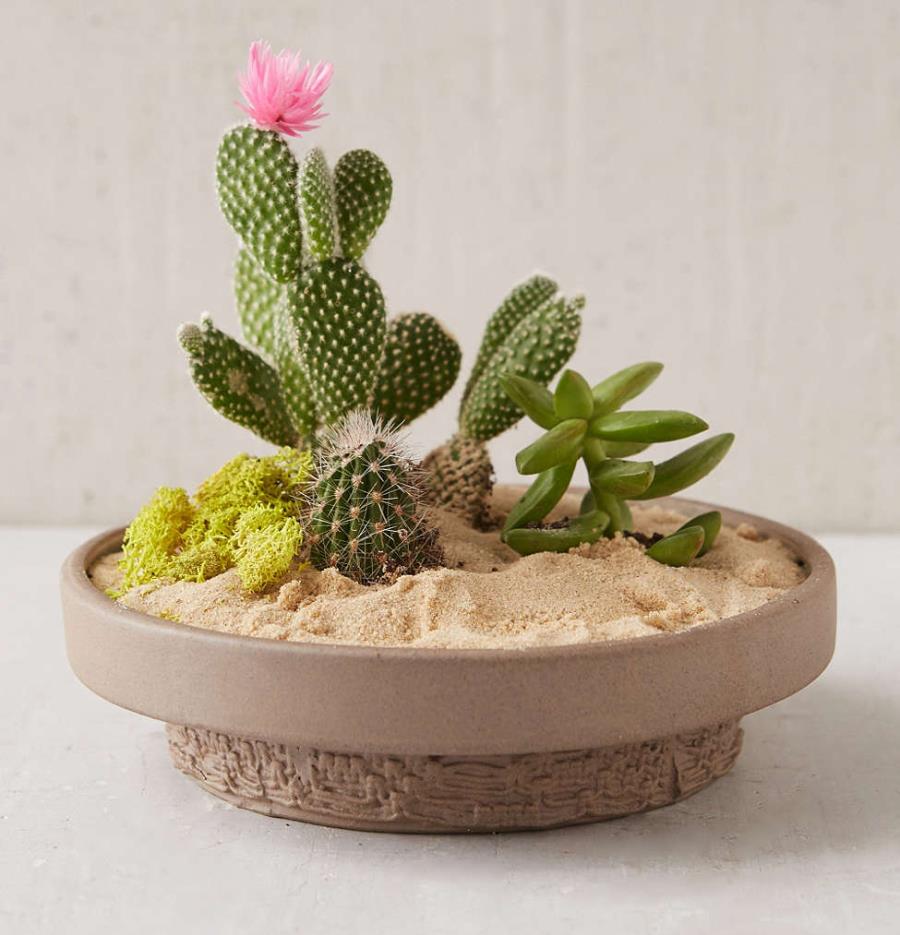 Unique planter from Urban Outfitters