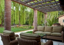 Weeping-willow-beside-an-outdoor-patio-217x155