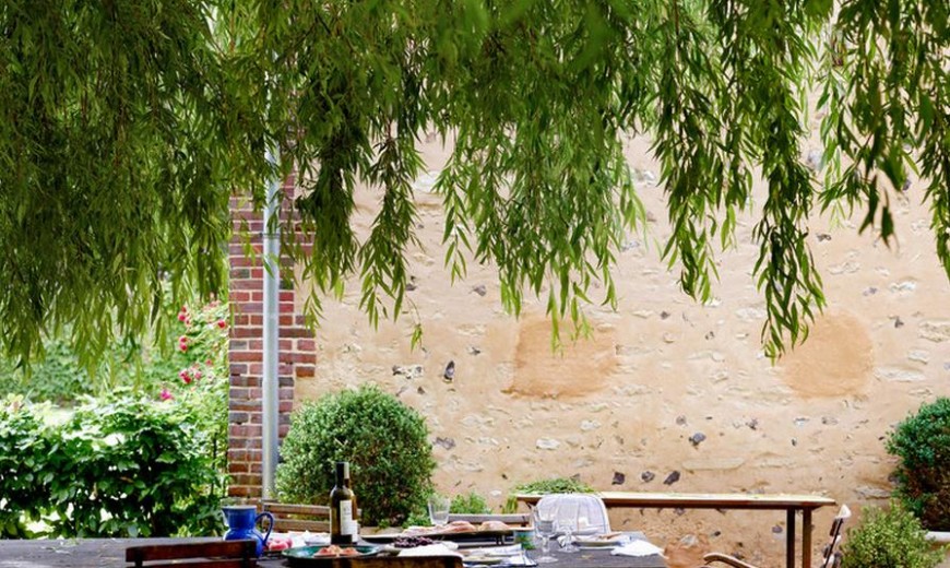 Fast-Growing Shade Trees That Make a Statement