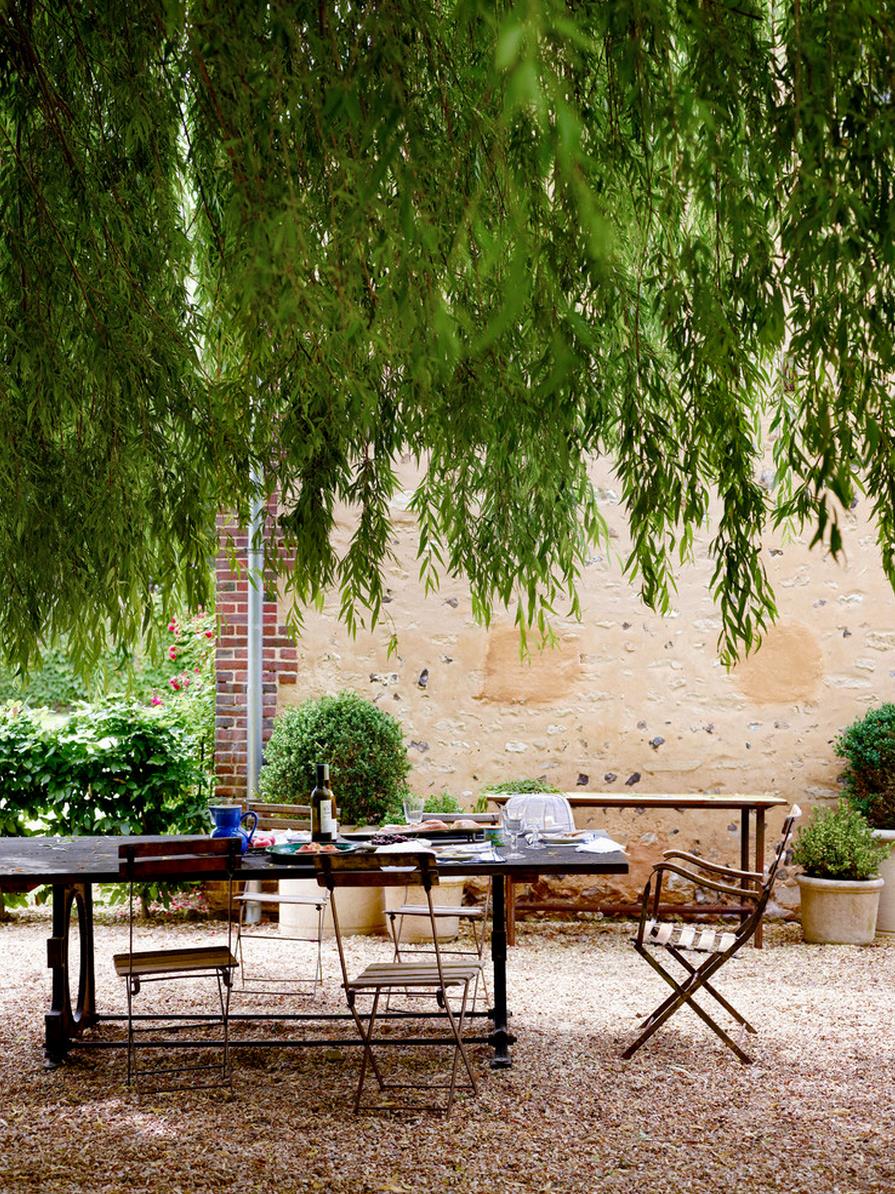 Weeping willow over an outdoor dining area