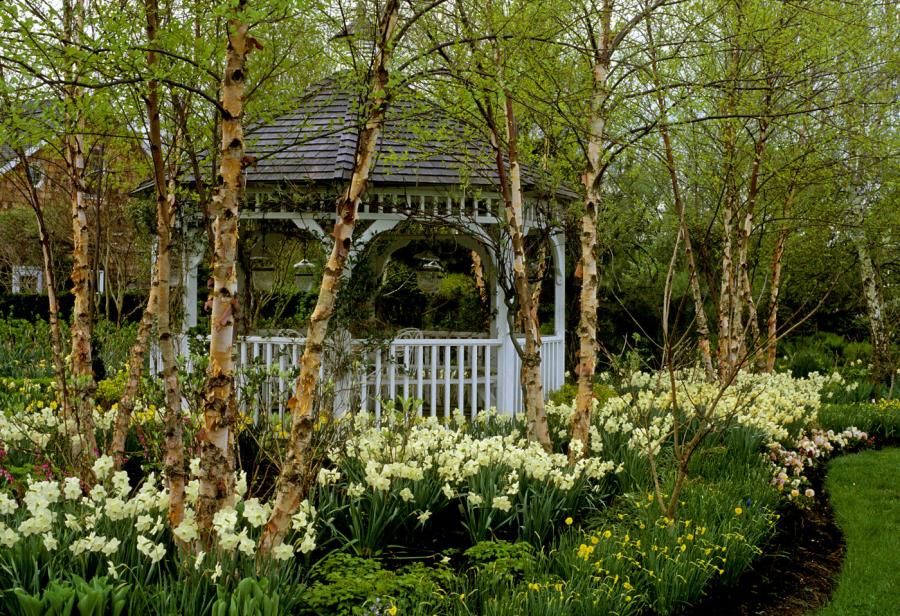 White traditional gazebo in the trees