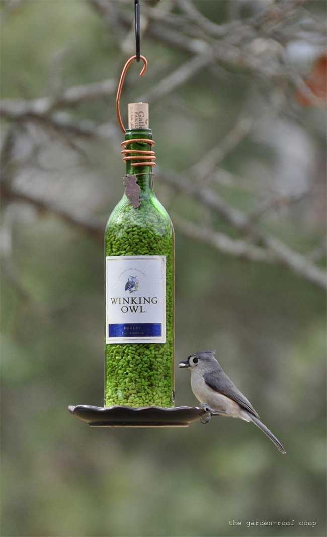 Wine Bottle Bird Feeder DIY with Bluejay