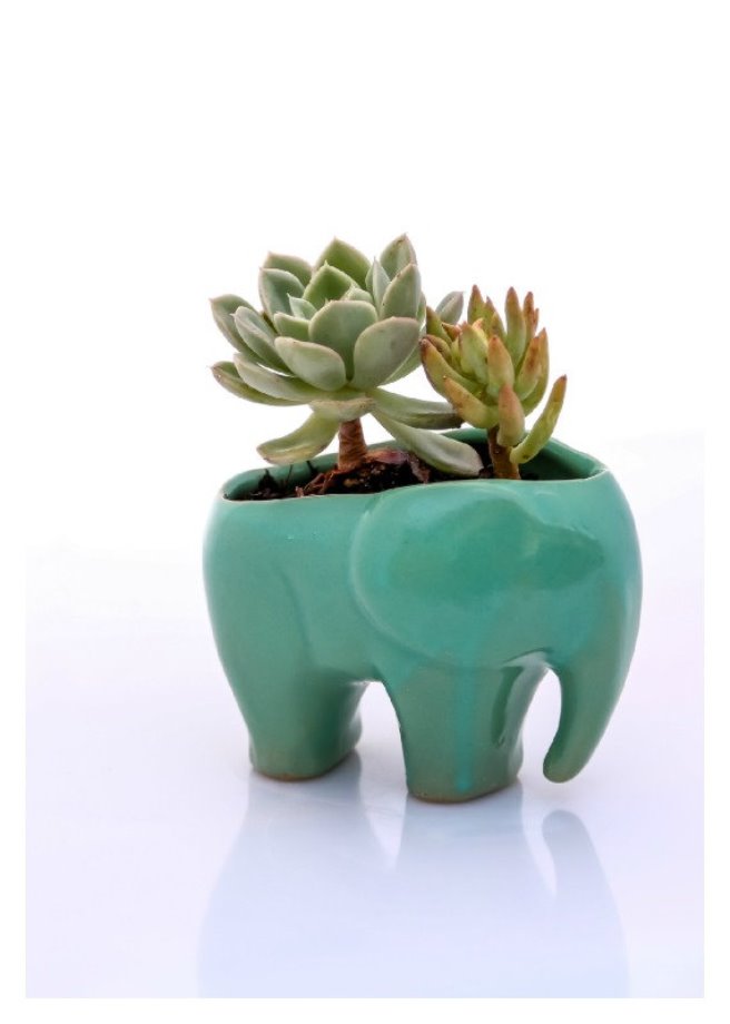 22 Whimsical Planters Inspired by Exotic Wildlife