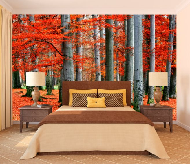 Colorful Autumn forest wall mural adds orange to the bedroom