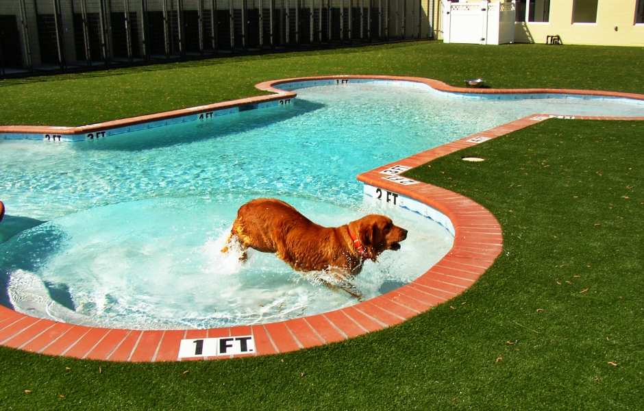 Summery Swimming Pools with the Most Unusual Shapes