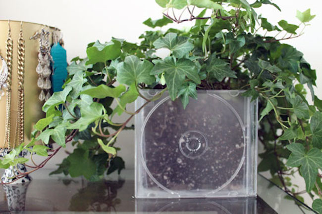 cd planter 2