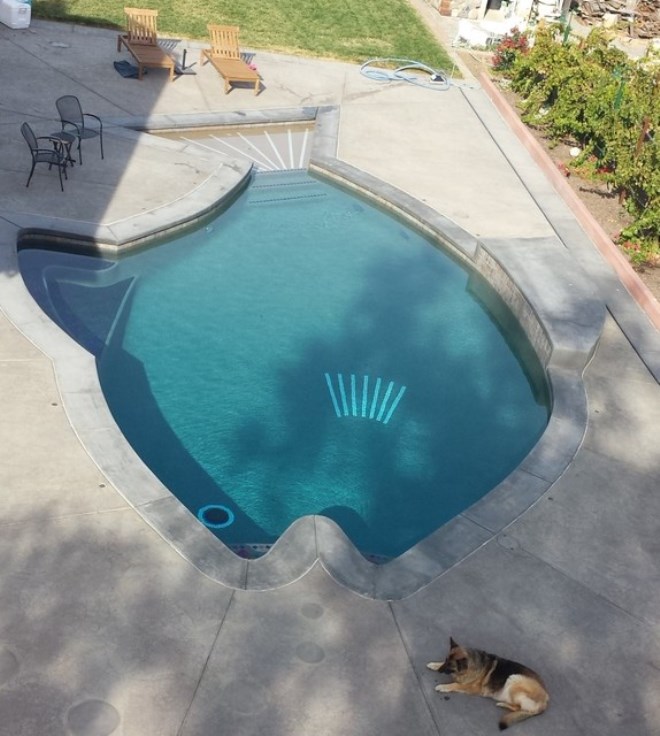 Cement deck around the fish-shaped pool