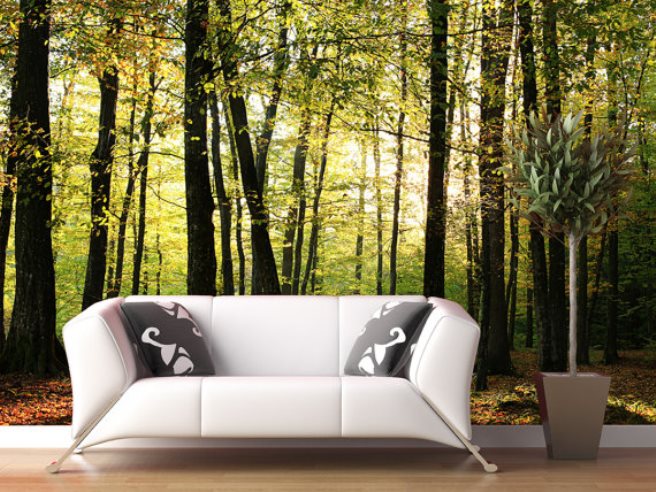 Exciting Spring or summer-themed forest wall mural