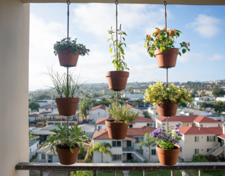 8 Space-Saving Vertical Herb Garden Ideas for Small Yards & Balconies