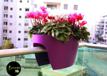 Add-some-color-to-any-small-balcony-217x155