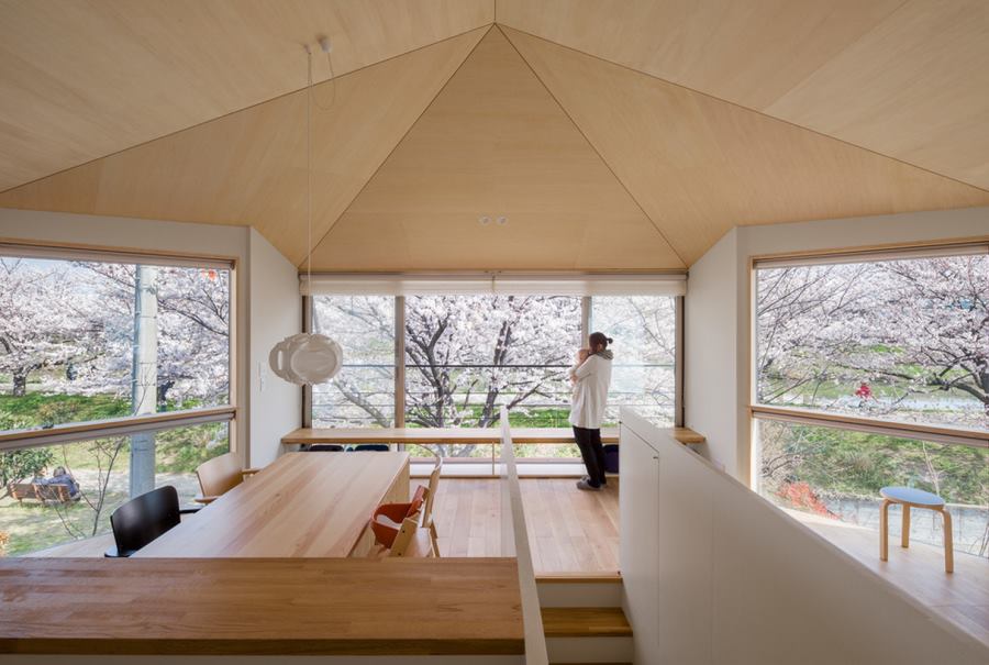 Cherry blossoms surrounding a modern interior