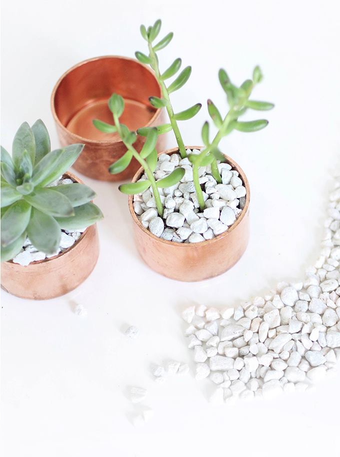 Copper cap succulent planter from I Spy DIY