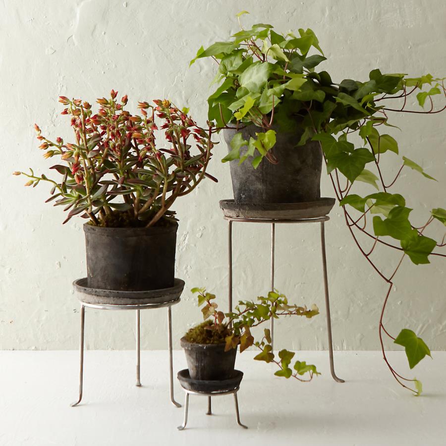 Footed plant stands from Terrain