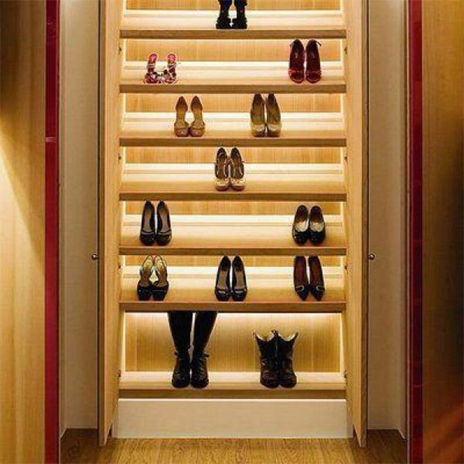 LED Under Cabinet Shoe Rack Lighting