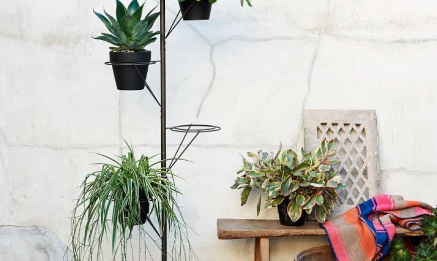 Plant Stand Style with a Modern Twist