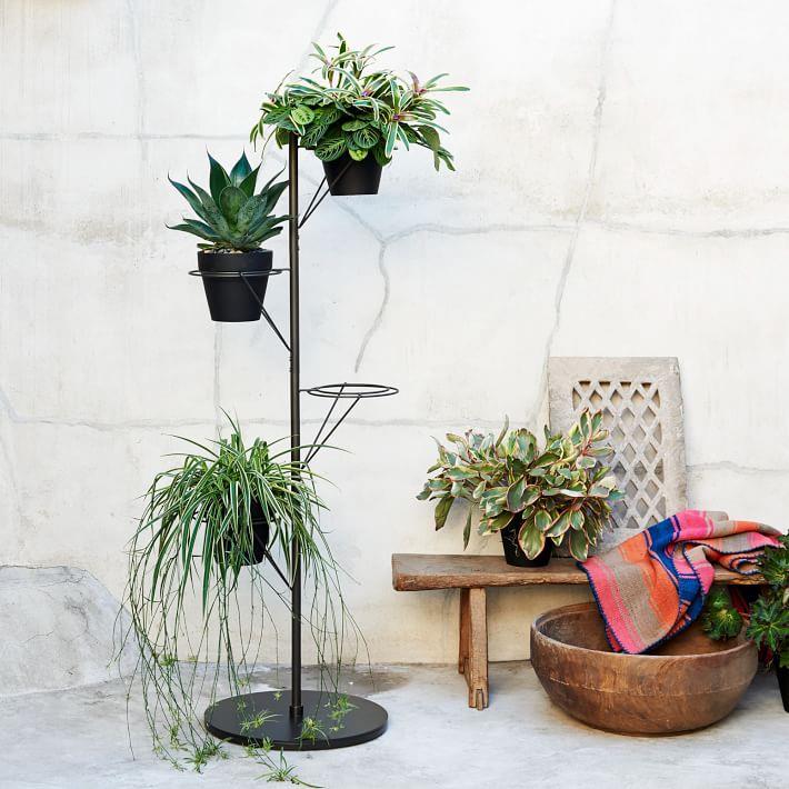 Plant Stand Style with a Modern Twist