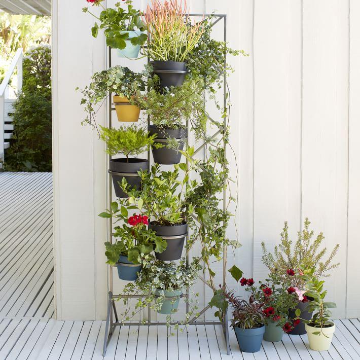 Plant display screen from West Elm