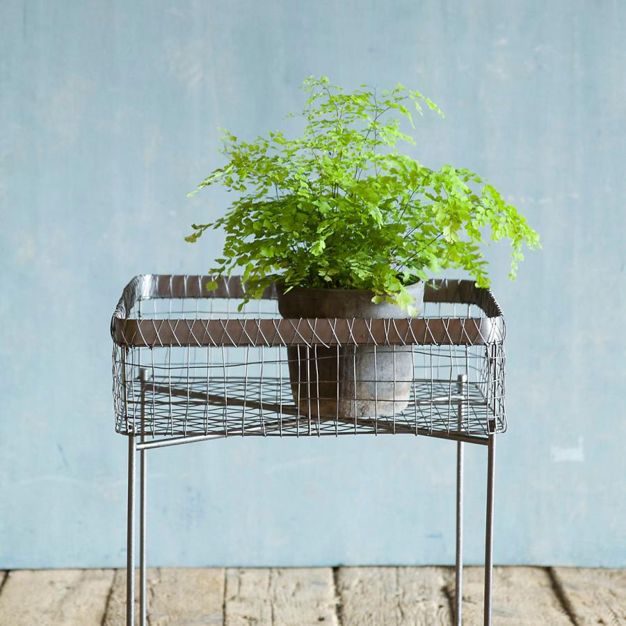 Plant stand side table from Terrain