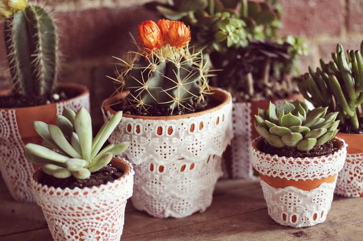 Planters dressed up with lace