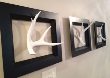 Real-antlers-painted-white-and-displayed-with-black-frames-217x155