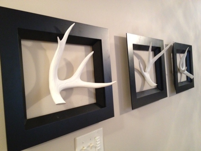 Real antlers painted white and displayed with black frames