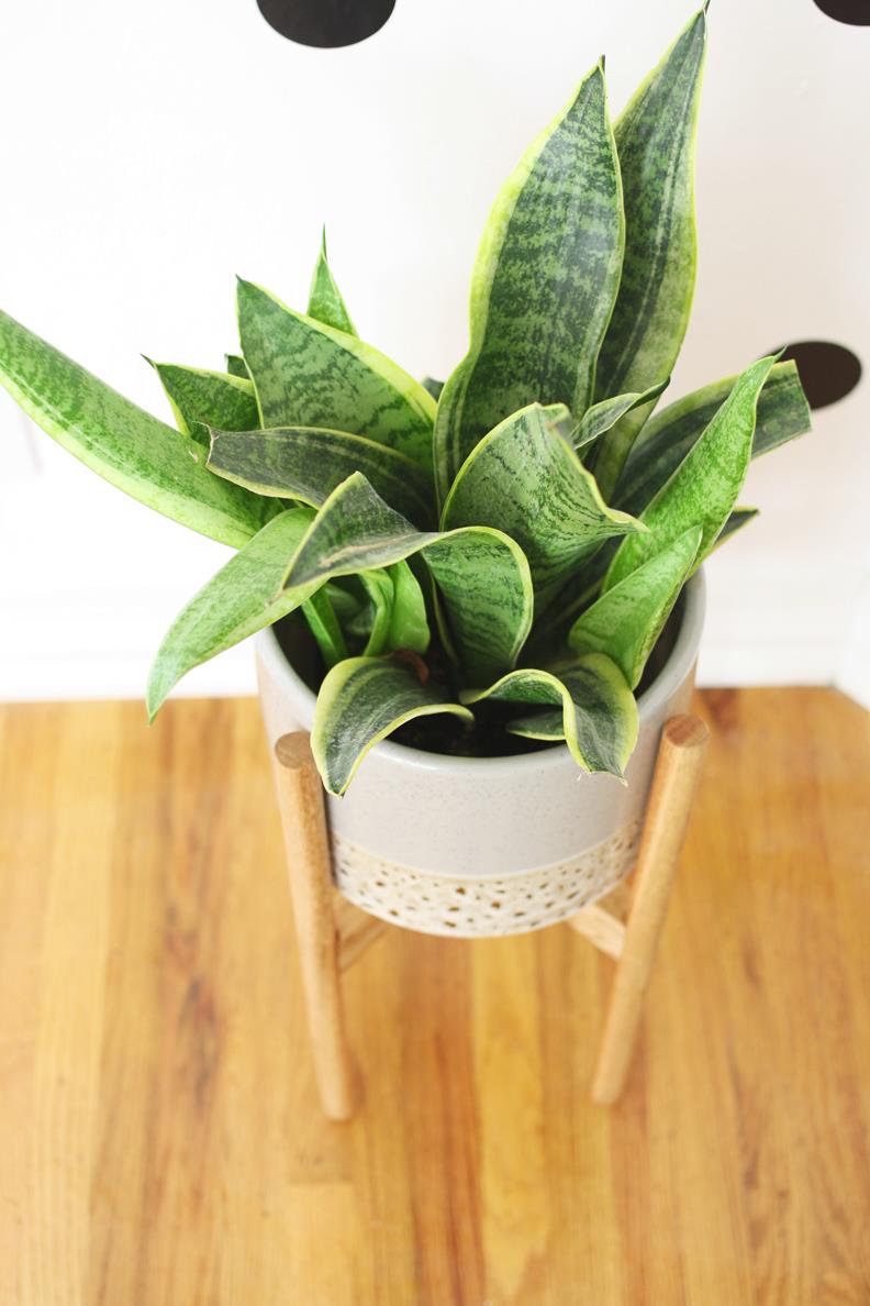 Wood plant stand from Hello Lidy