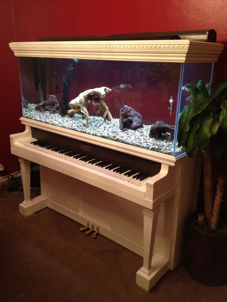 Aquarium built into a white piano