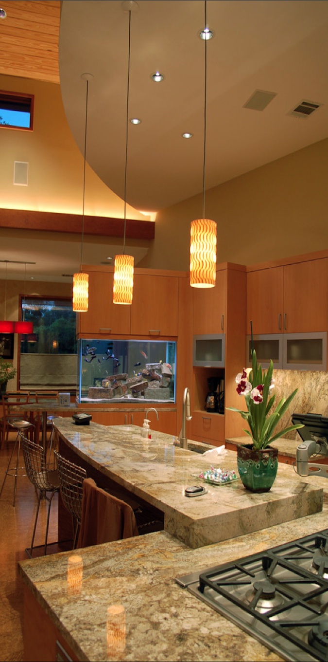 Aquarium built into kitchen cupboards and countertop