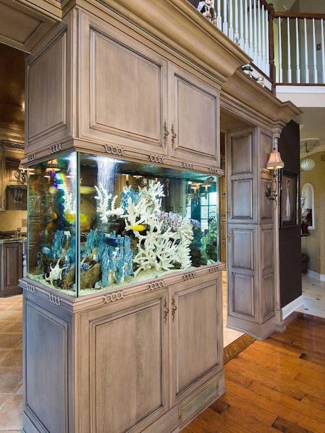 Aquarium built into kitchen cupboards